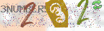 captcha_img