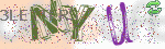 captcha_img