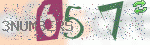 captcha_img