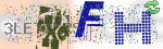 captcha_img