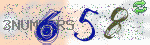 captcha_img