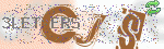 captcha_img