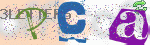 captcha_img