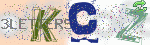 captcha_img