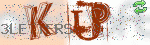 captcha_img