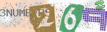 captcha_img