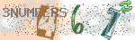captcha_img