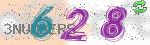 captcha_img
