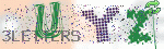 captcha_img