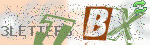 captcha_img