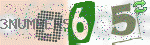captcha_img