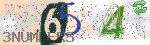 captcha_img