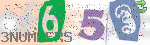 captcha_img