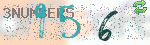 captcha_img