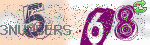 captcha_img