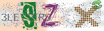 captcha_img