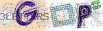 captcha_img