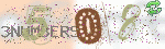 captcha_img