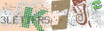 captcha_img