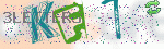 captcha_img