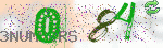 captcha_img
