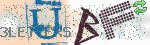 captcha_img