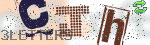 captcha_img