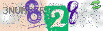 captcha_img