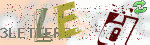 captcha_img