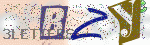 captcha_img
