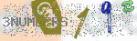 captcha_img