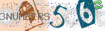 captcha_img