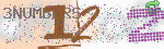 captcha_img