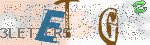 captcha_img