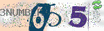 captcha_img