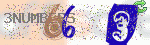 captcha_img