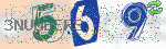 captcha_img