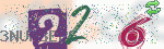 captcha_img