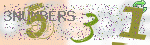 captcha_img