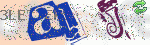 captcha_img