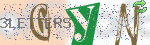 captcha_img