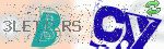captcha_img