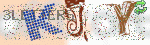 captcha_img