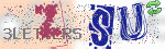 captcha_img