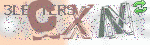 captcha_img