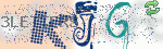 captcha_img