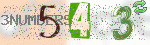 captcha_img