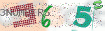 captcha_img