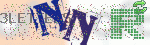 captcha_img