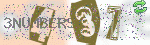 captcha_img